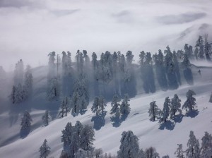 snow-vasilitsa